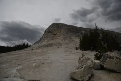 DSC_4472 (Large).JPG